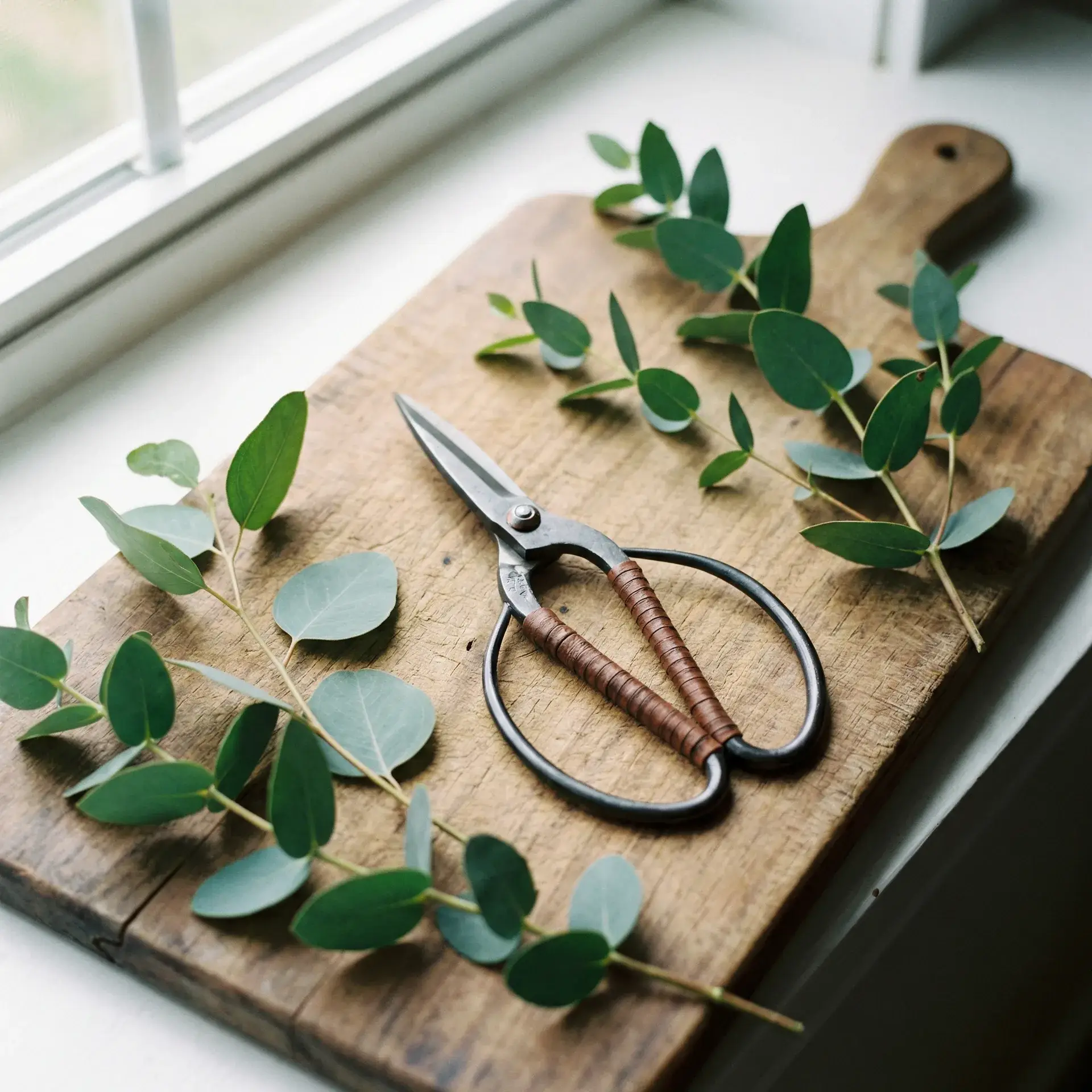 日式花艺剪刀 - 小宝探花